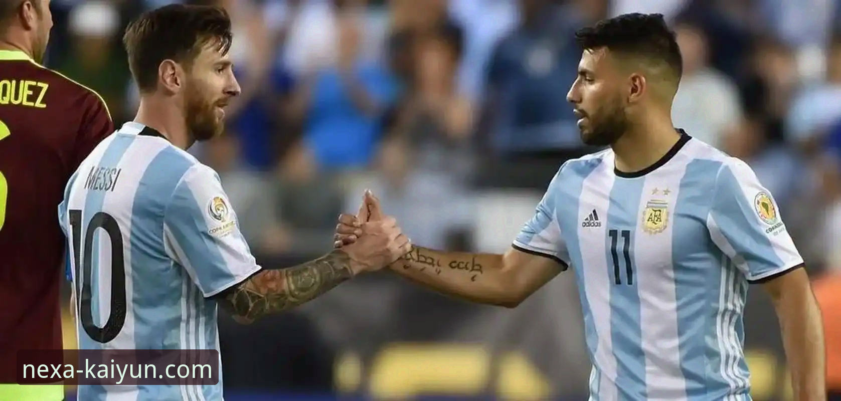 开云iOS版下载 阿根廷锋线新星重伤折戟深度分析:战术缺失与体育资讯平台的即时性价值